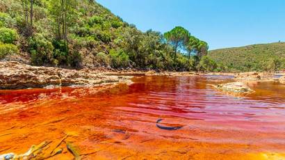 Rio tinto green Serbia organization